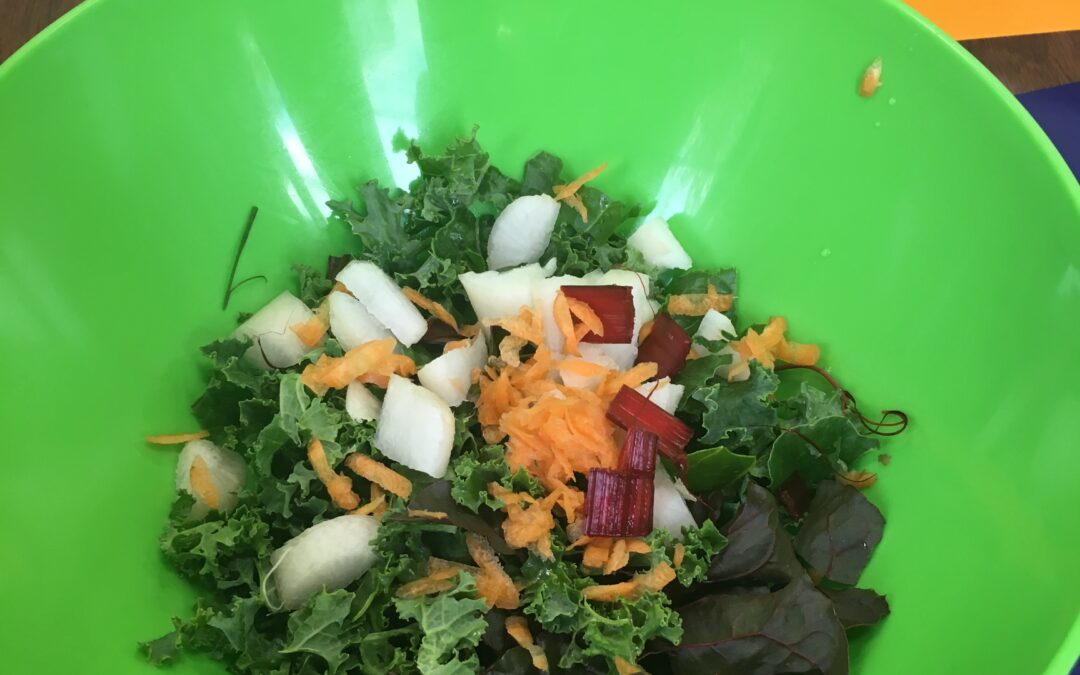 Kale Salad / Ensalada de la Col Rizada