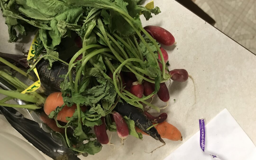 Root Vegetable Latkes