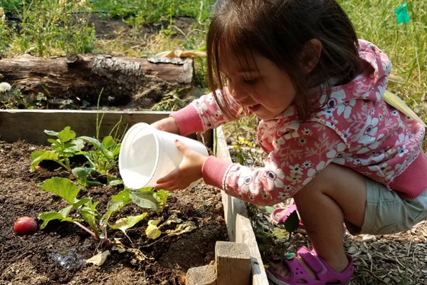 Common Threads Farm | Connecting Kids to Healthy Food with Seed to