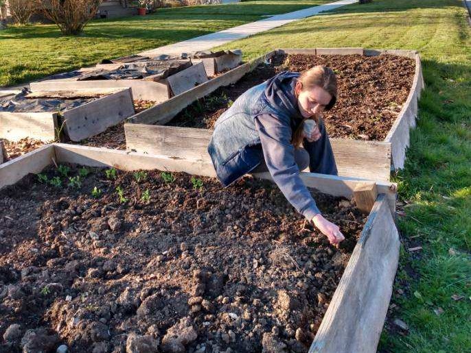 Garden Season has begun!