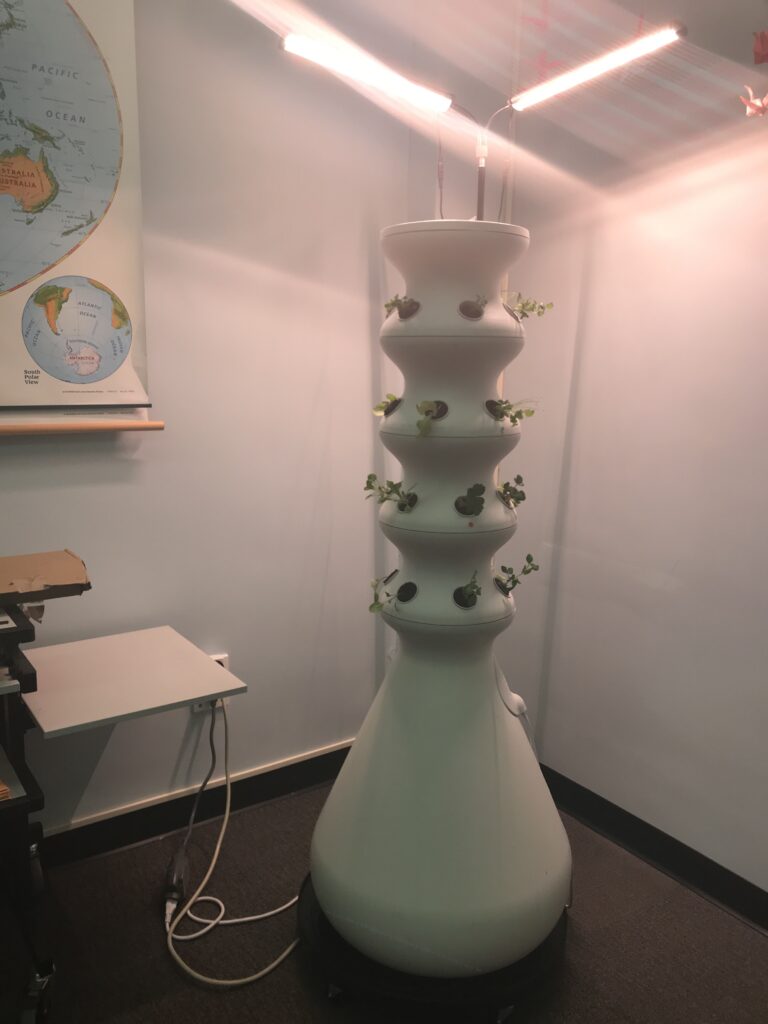 vertical hydroponic garden