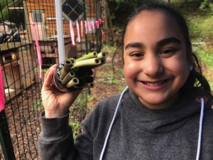 student displays a hand-made mason bee house